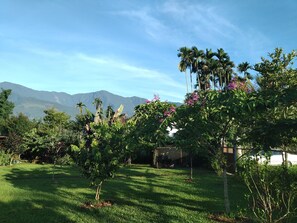 Exterior - Celine's B&B (Fenglin)