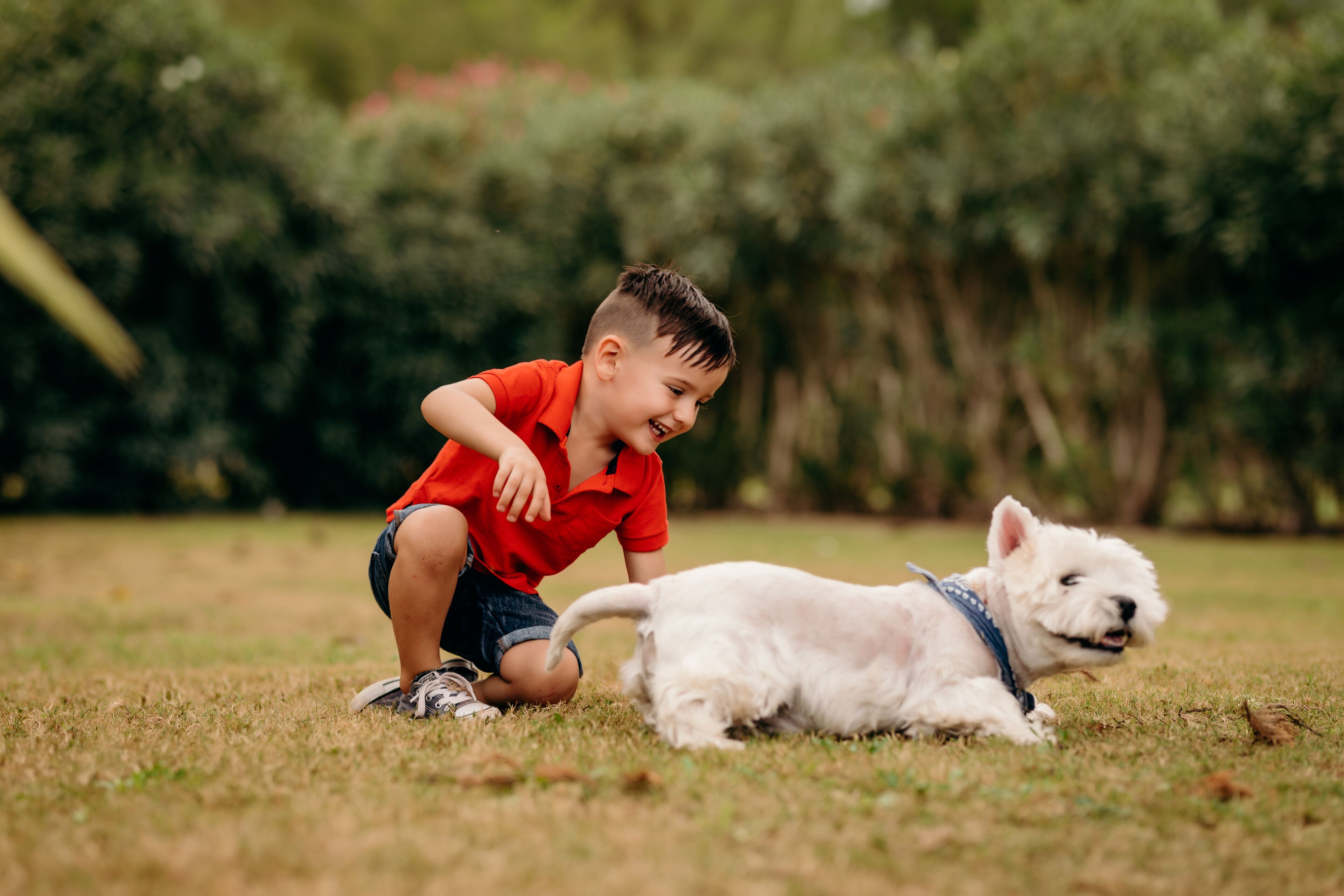 Foto - Agroturismo Can Guillem