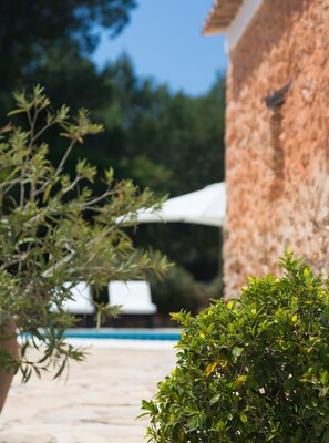 Utomhuspool och solstolar