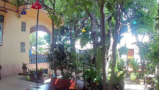 Un área de patio al aire libre con un banco de madera, plantas en macetas y luces colgantes.