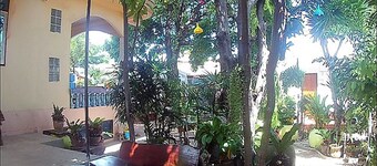 Mushroom House Kohlarn