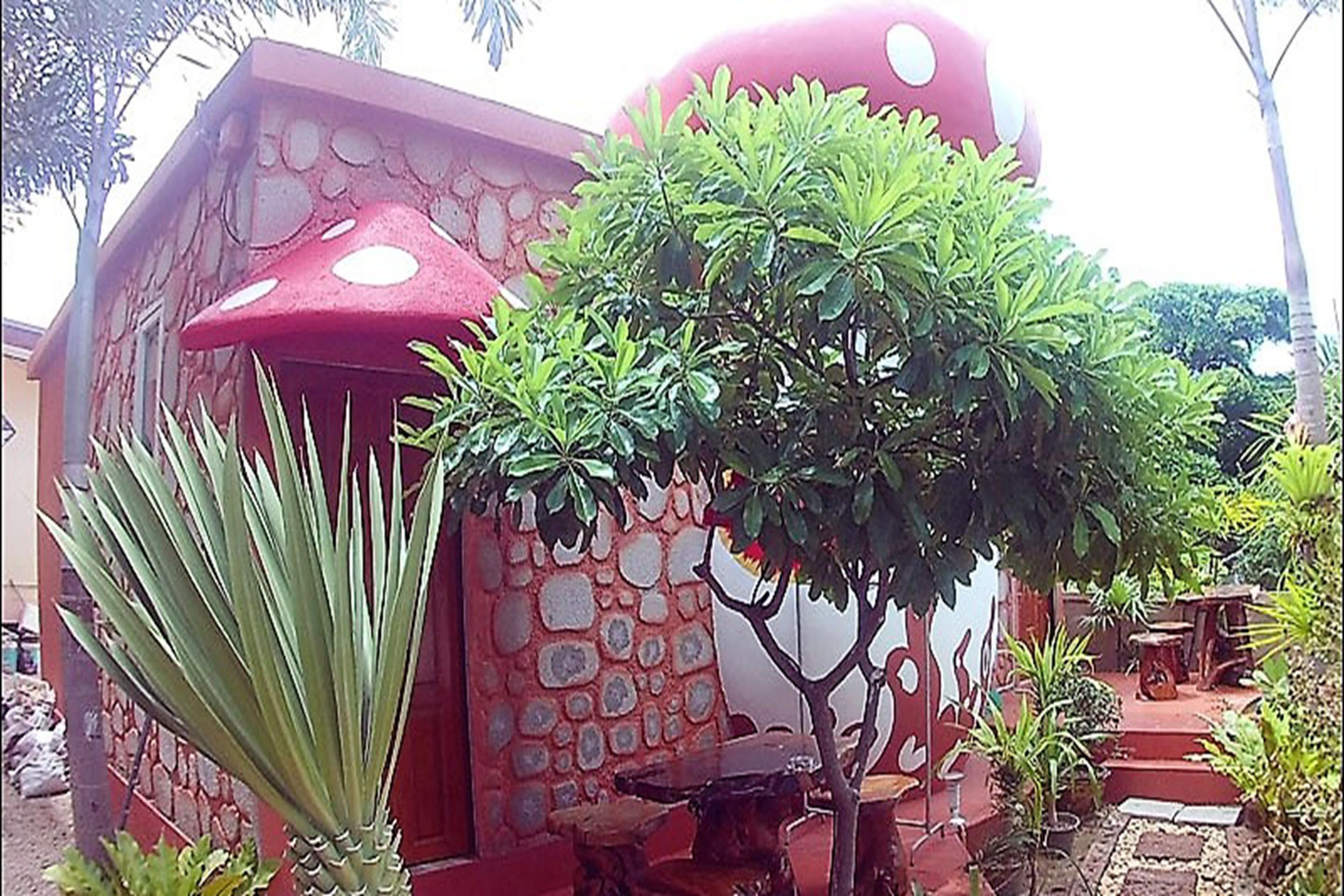 bungalow | free wifi