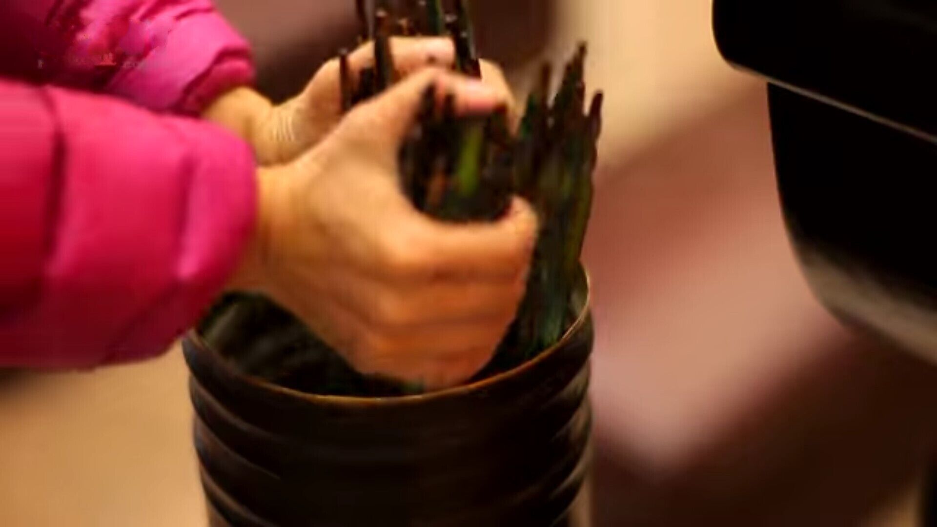 Hands holding a plant.