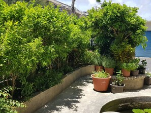 Garden - La Fleur B&B (Hengchun)