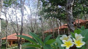 Ein bungalowähnliches Gebäude mit rotem Ziegeldach, umgeben von üppiger Vegetation und Bäumen.