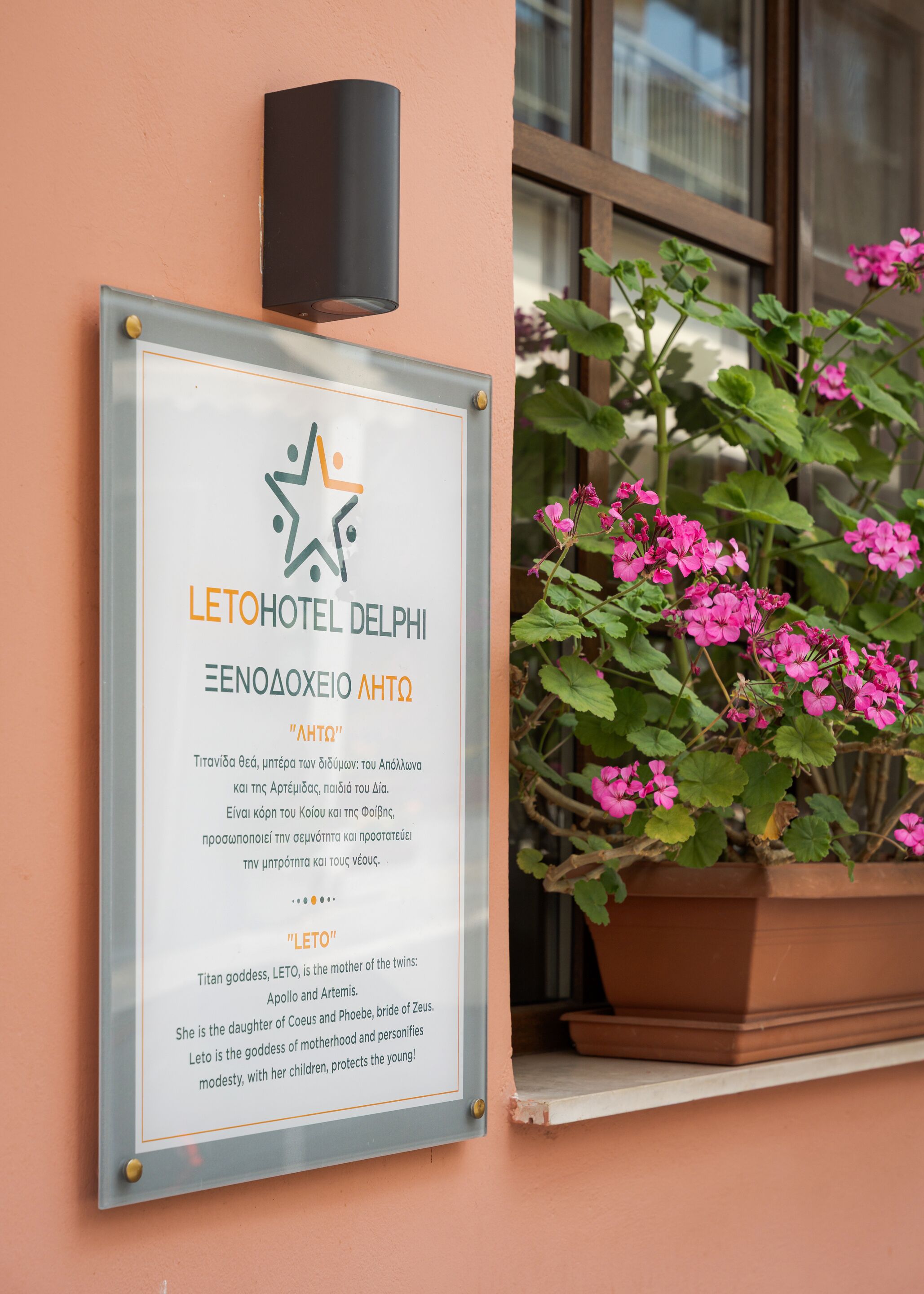 A framed sign with hotel information and a potted plant with pink flowers.