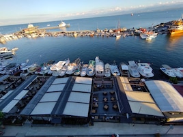 Vista desde la propiedad
