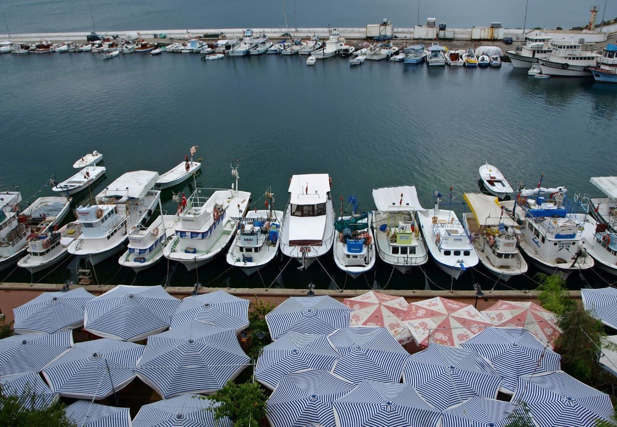 A marina with numerous boats docked in a row, and several umbrellas providing shade.