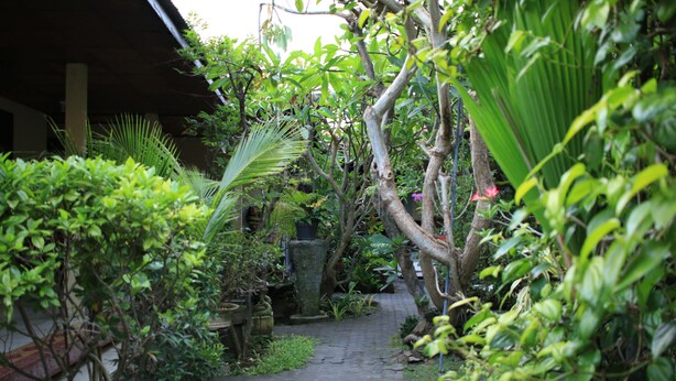 A narrow stone pathway flanked by lush greenery and potted plants, leading to a covered area with a wooden structure. - Simon Homestay (Denpasar)