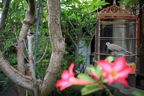 View from property - Simon Homestay (Denpasar)