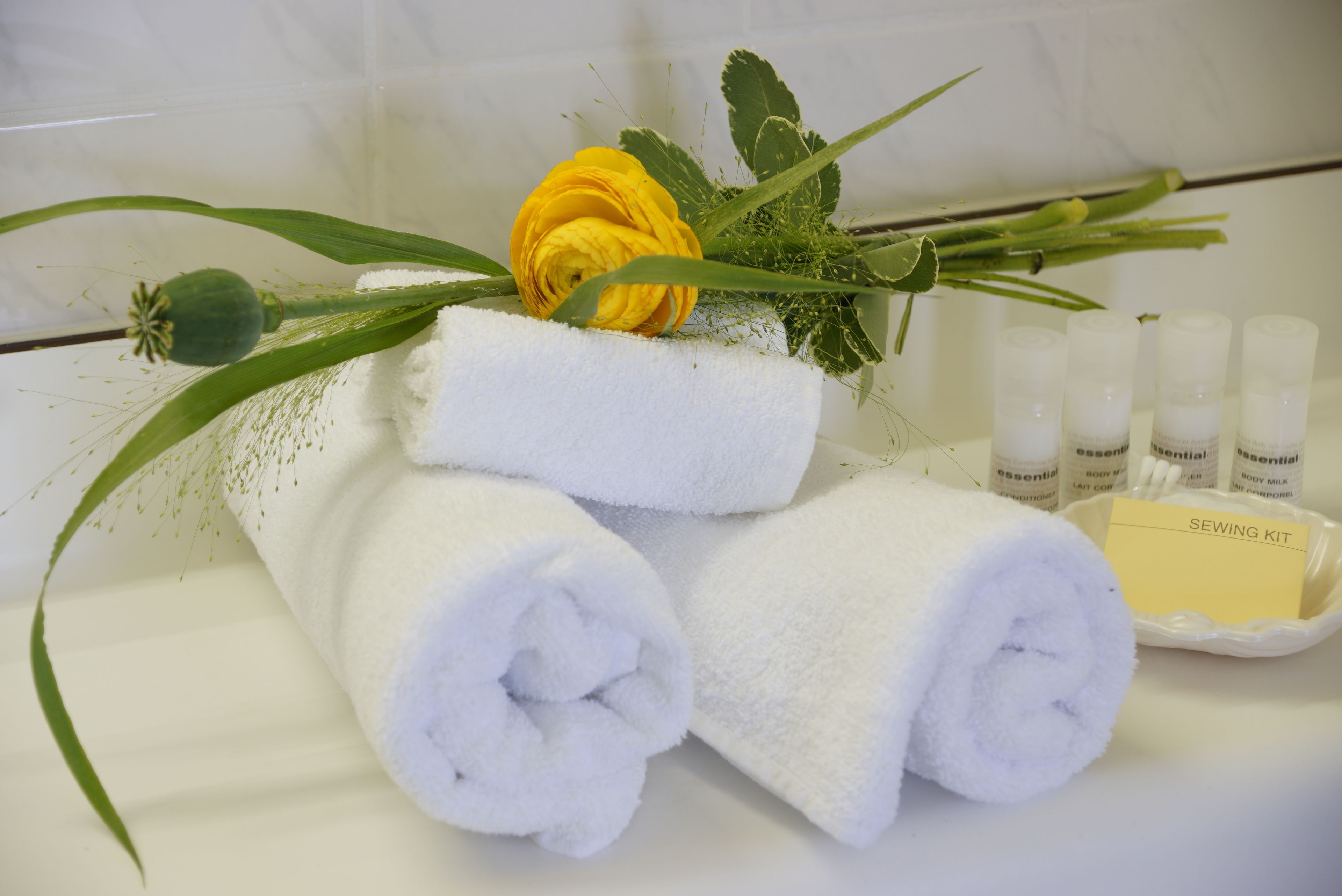 comfort single room | bathroom amenities | shower, hair dryer, towels, soap