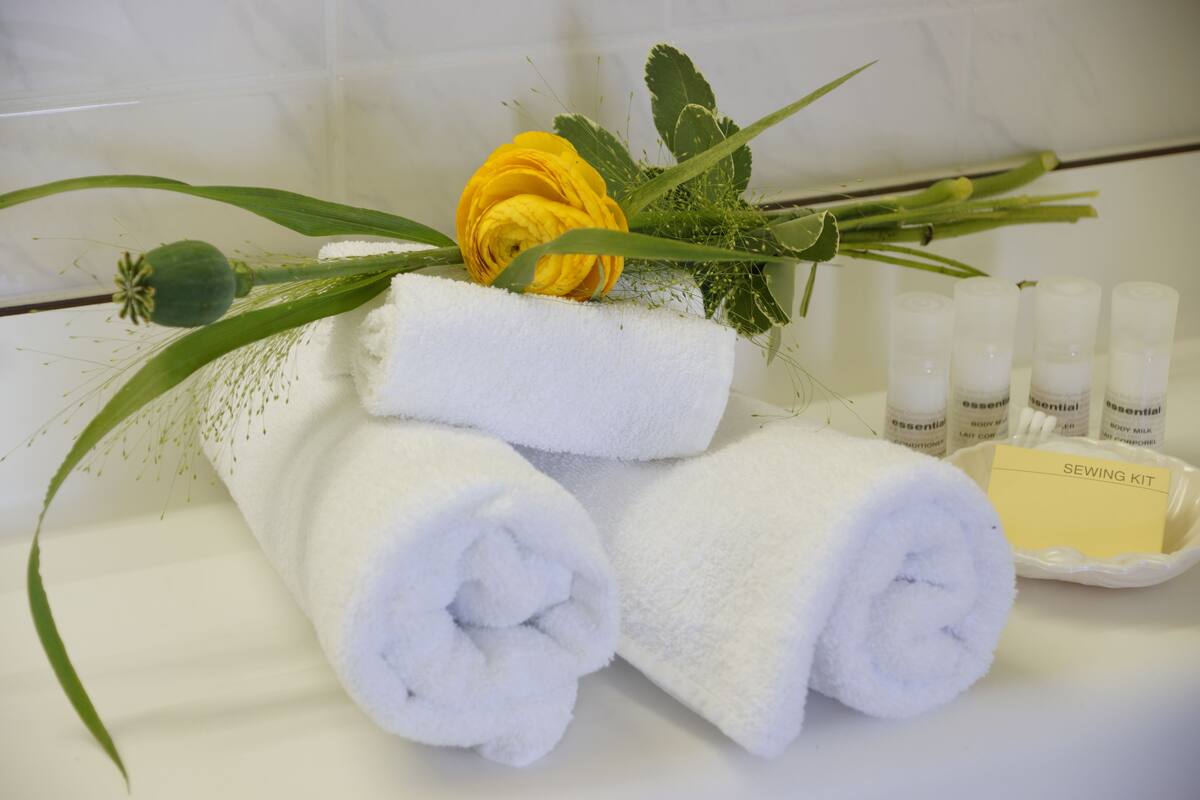 comfort single room | bathroom amenities | shower, hair dryer, towels, soap
