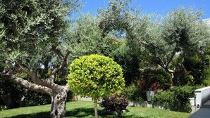A garden with various trees and shrubs, including a prominent round tree with dense green foliage. - Sunlight Breeze Villa (Chania)