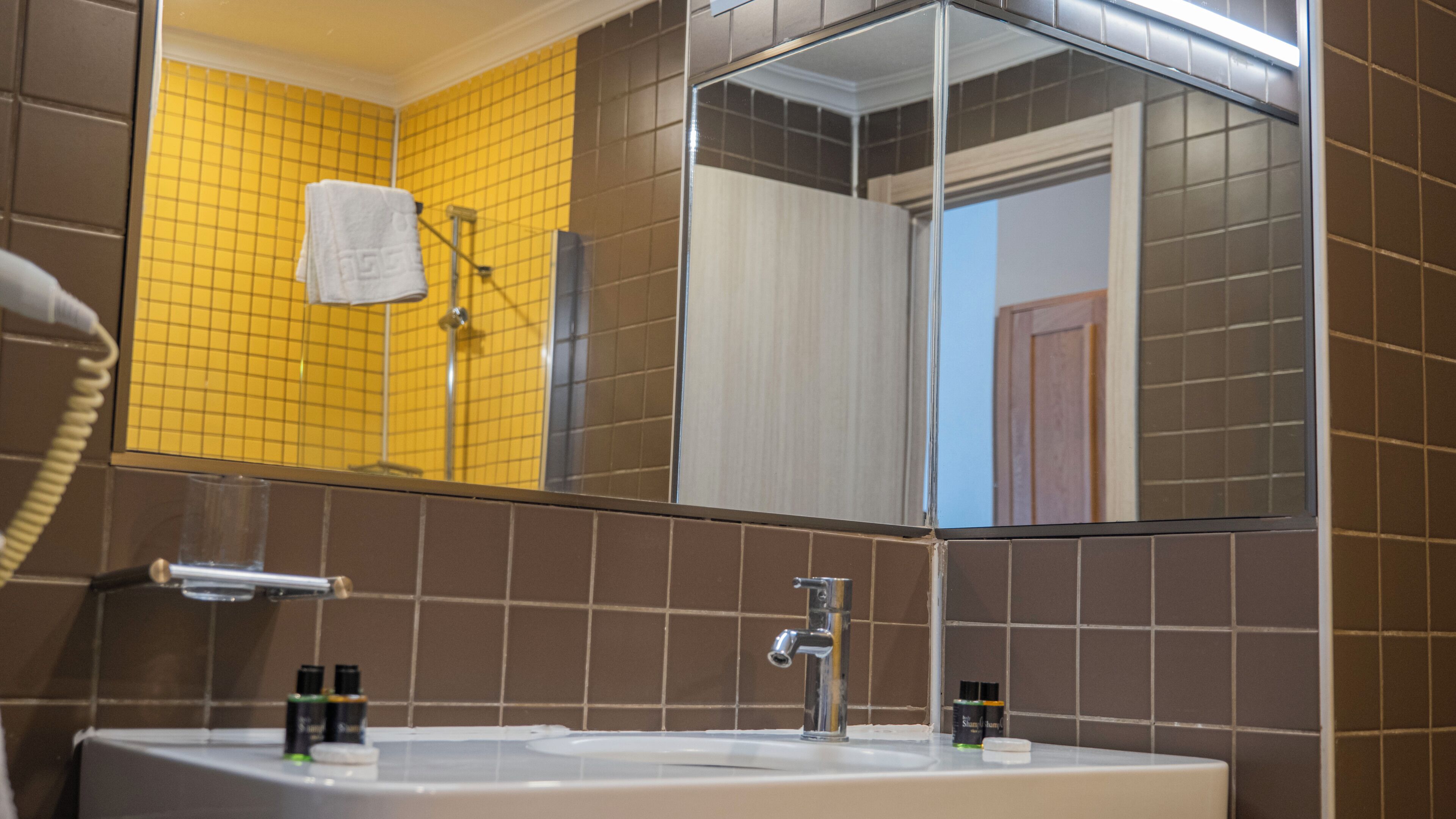 deluxe double room | bathroom | shower, free toiletries, hair dryer, slippers