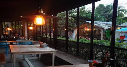 Sleepy Owl Hostel