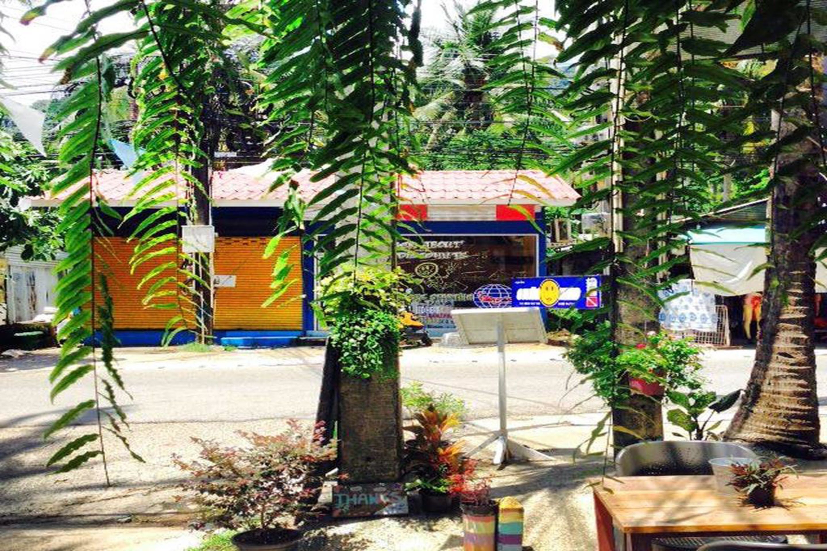 Escena callejera con un café pequeño, un letrero azul y un árbol en primer plano.