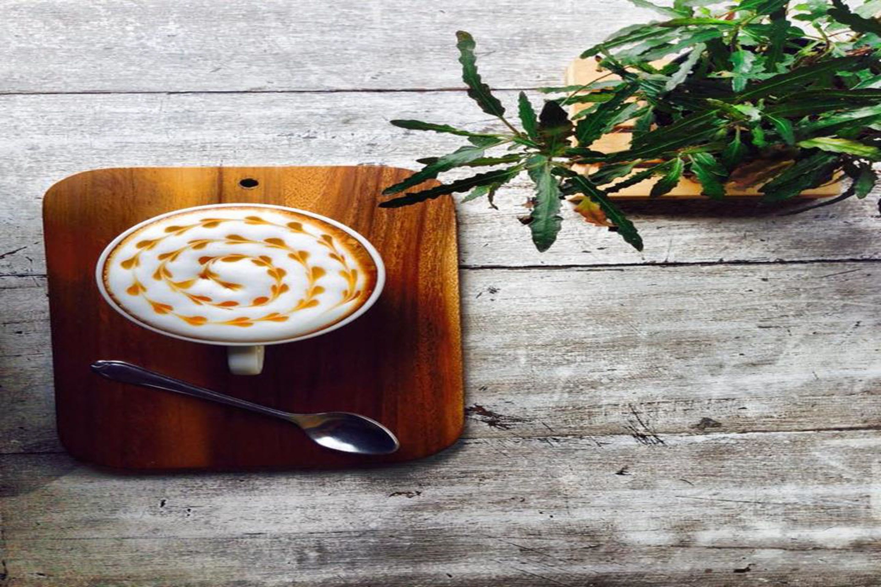 Een kop koffie met latte-art op een houten plank, met een lepel en een potplantje erbij.