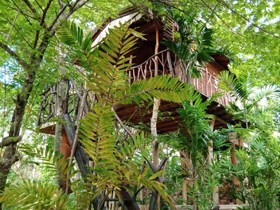 Sigiriya Rock Gate Resort