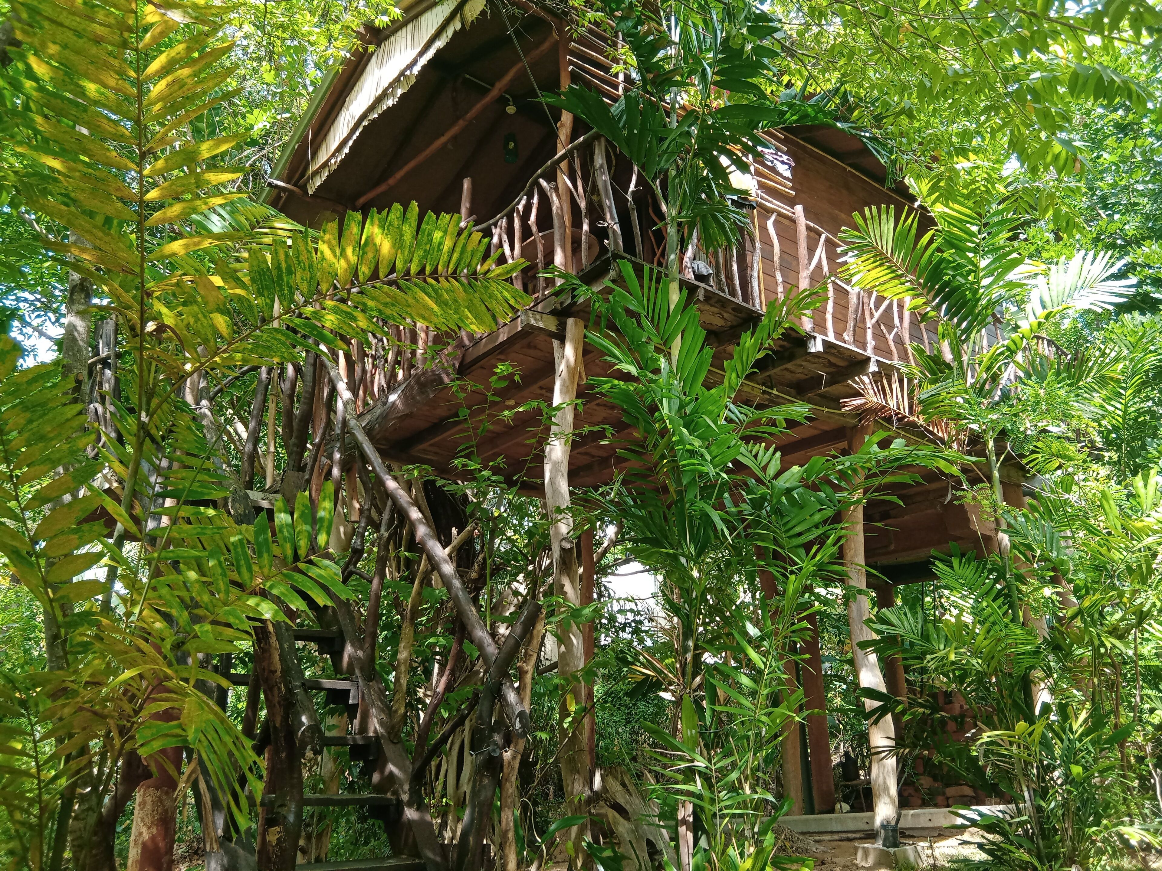 传统树屋, 1 张大床, 山景 | 高档床上用品、办公桌、隔音、熨斗/熨板