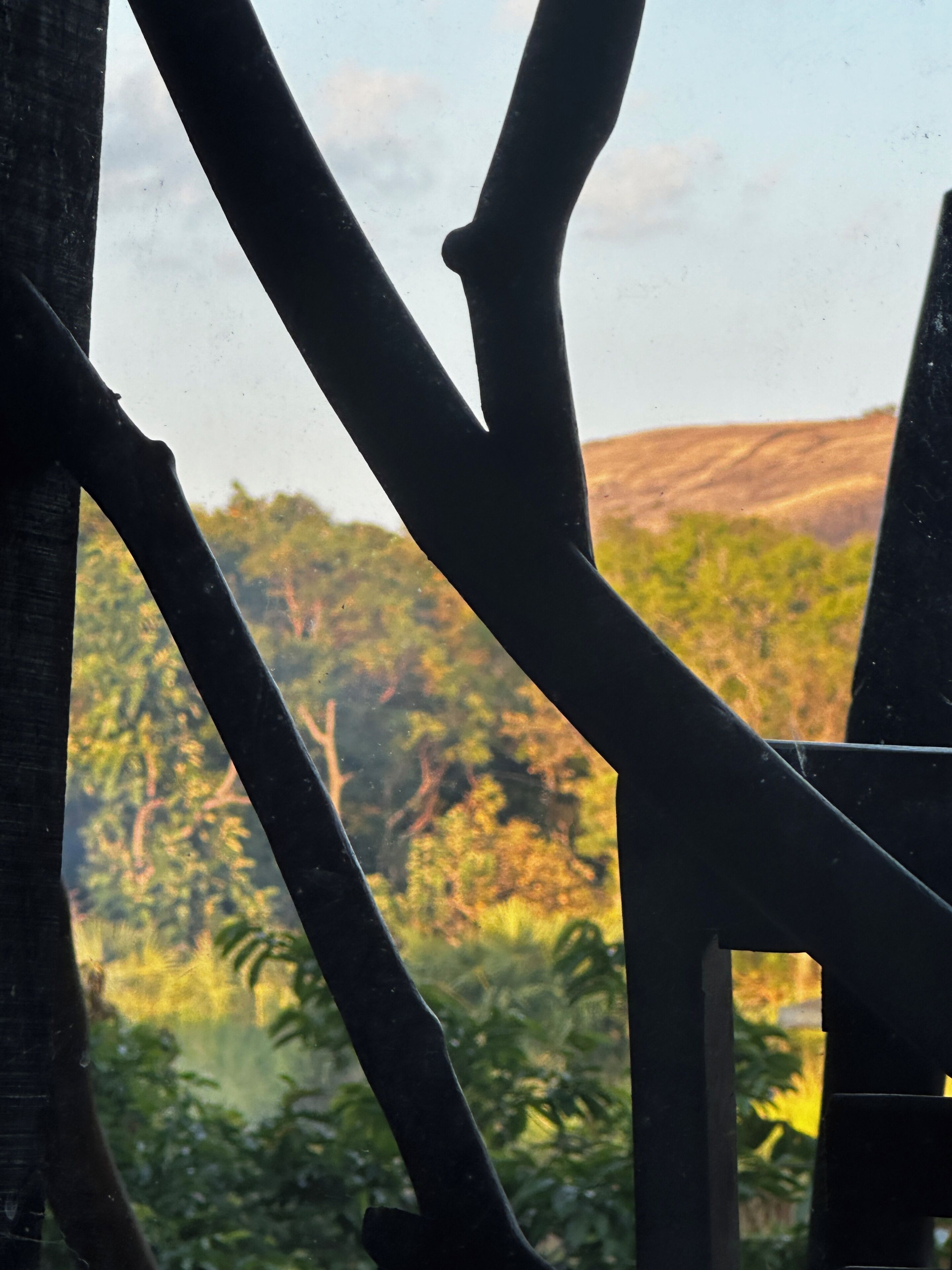 A view through a window with a wooden frame, displaying a landscape with trees and a hill.