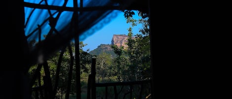 Casa de árbol tradicional, 1 cama Queen size, vista a la montaña | Ropa de cama de alta calidad, escritorio y insonorización