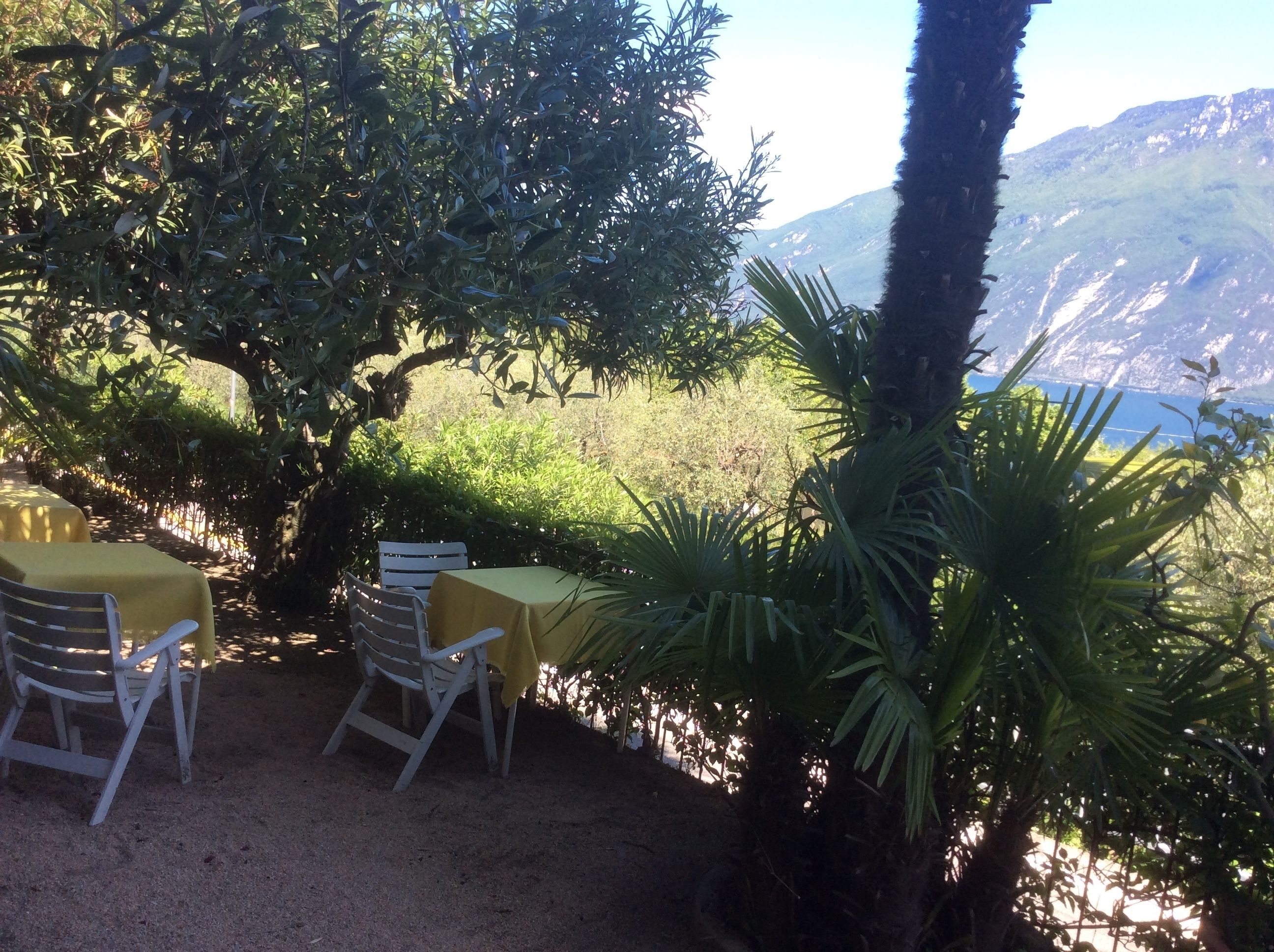 An outdoor seating area with tables and chairs, surrounded by greenery and overlooking a mountainous landscape.