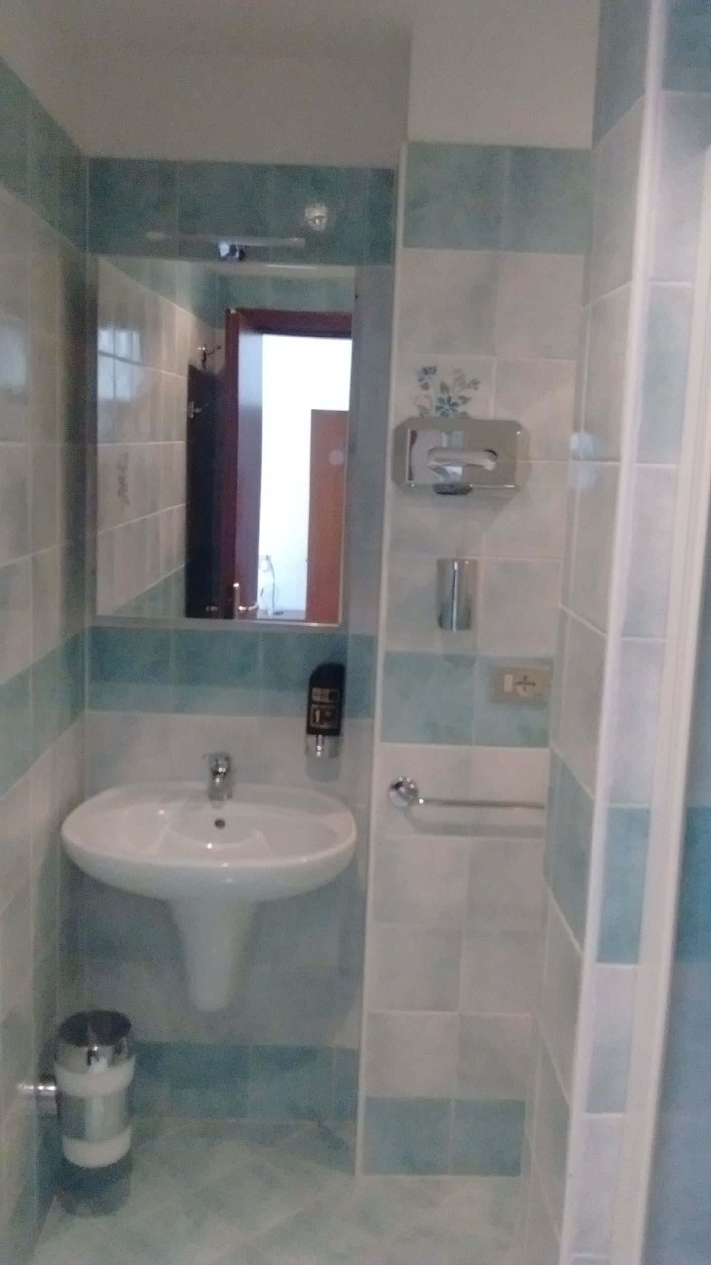 double room, lake view | bathroom | shower, free toiletries, hair dryer, bidet