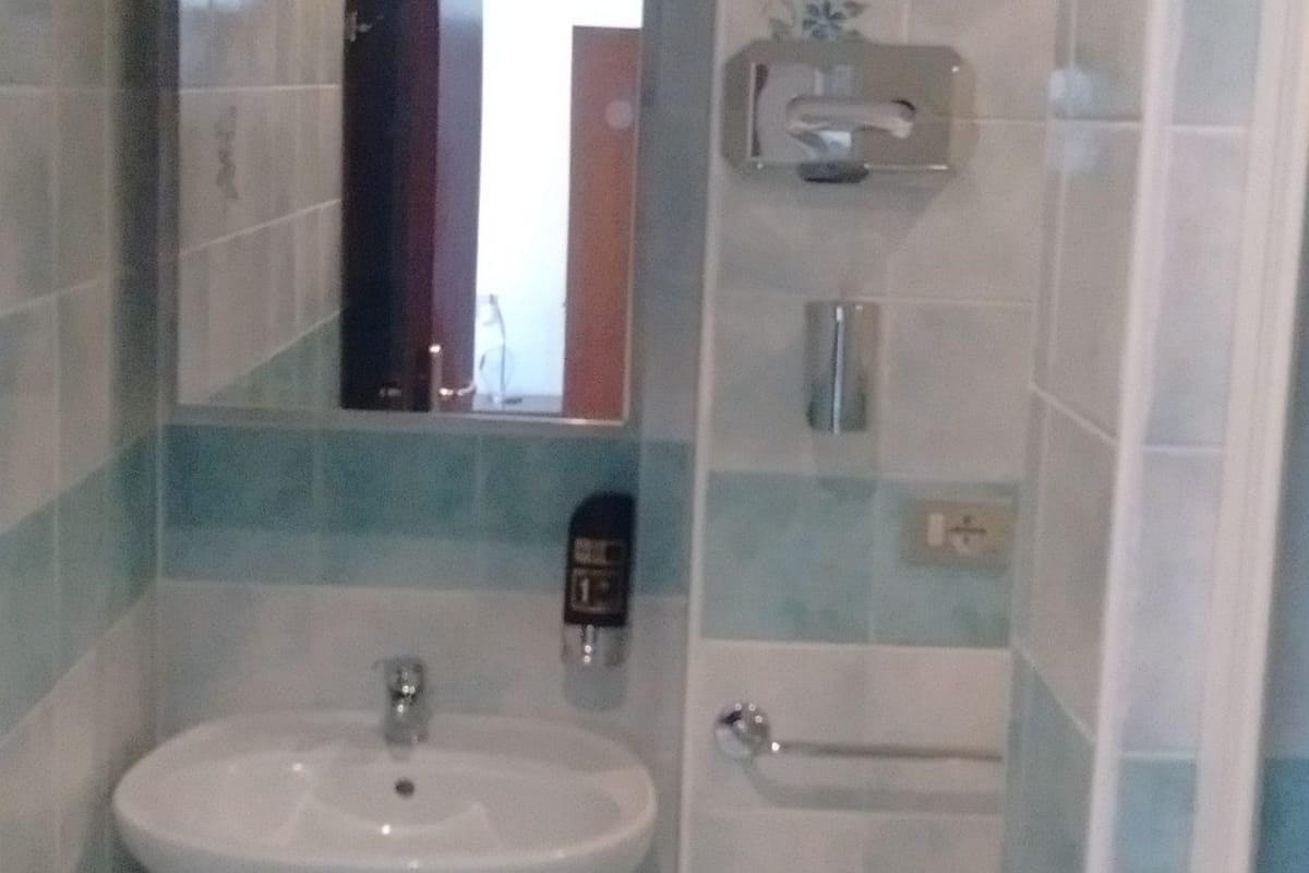 double room, lake view | bathroom | shower, free toiletries, hair dryer, bidet