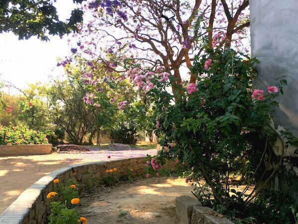 Property grounds - Dendere Lodge (Harare)