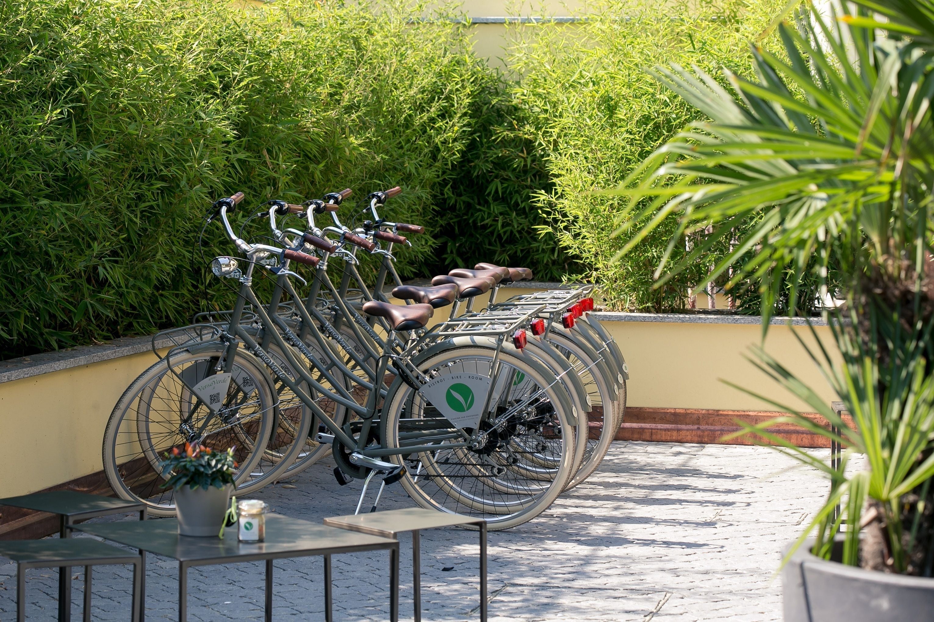 A row of bicycles parked on a paved area with a wall and greenery in the background.