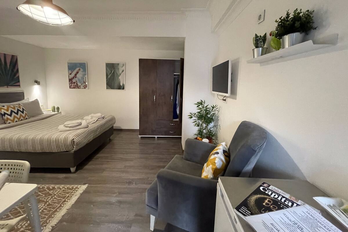 A modern bedroom with a bed, a grey sofa, a TV, and a plant.