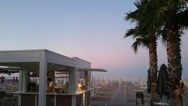 Un restaurant situé en bord de mer, avec une terrasse, un bar et des palmiers.