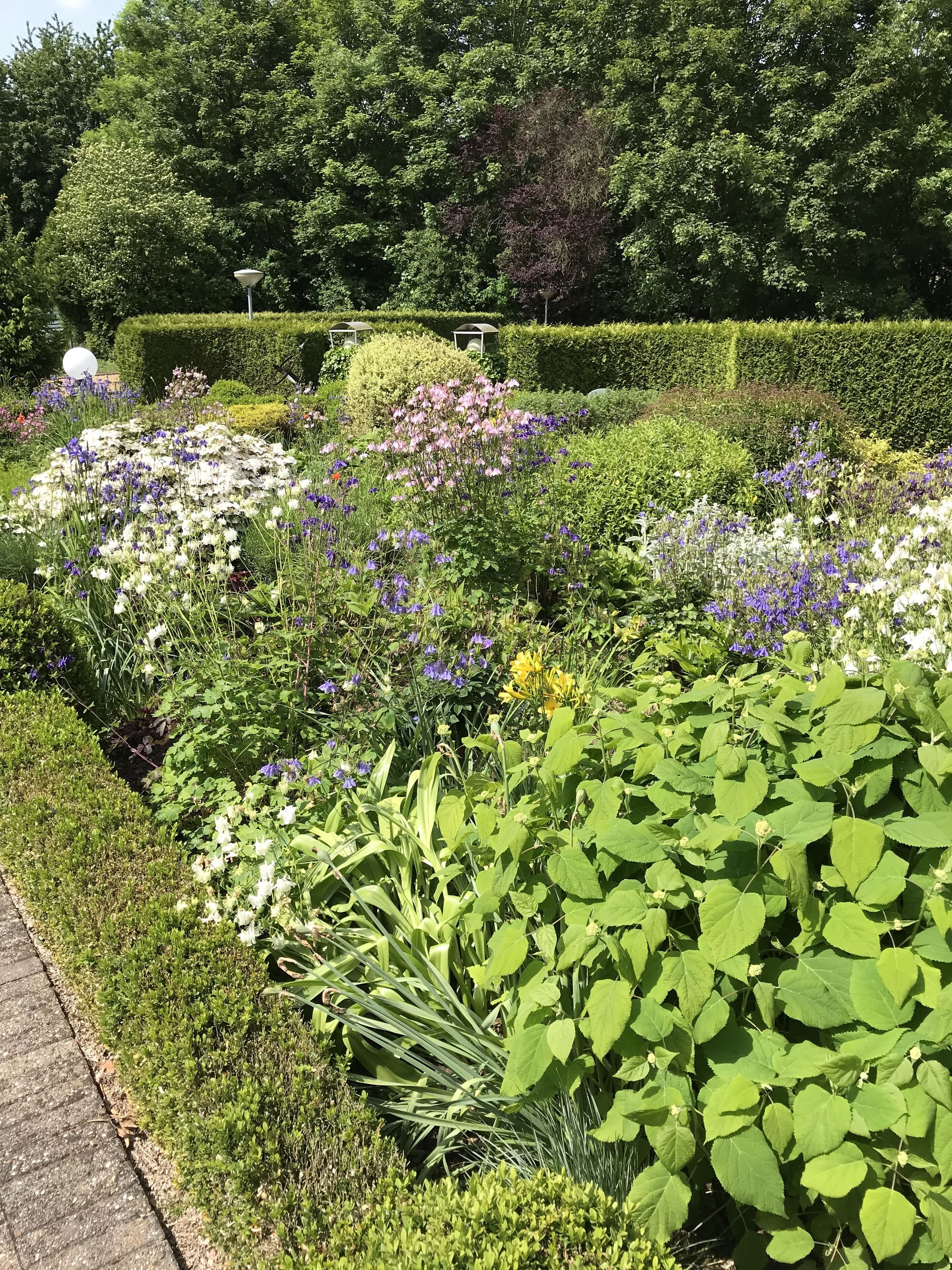 Foto - Hotel Bemelmans