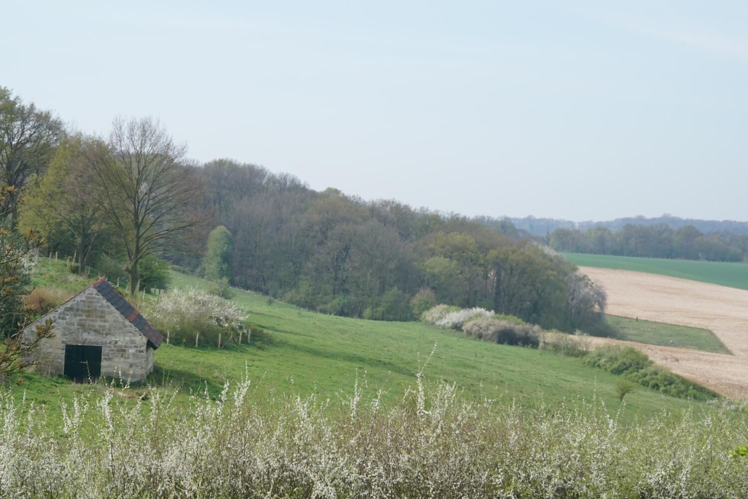 A rural landscape with a stone building, green fields, and trees.