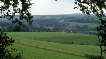 Een landelijk landschap met een groen veld, een omheining en een dorp in de verte.