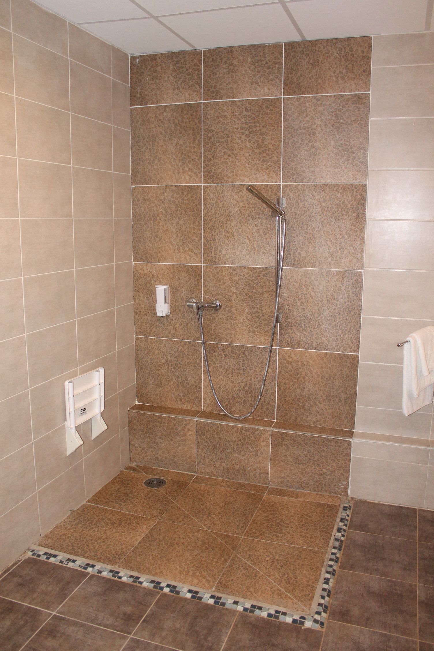 A shower area with a tiled wall, a handheld showerhead, and a towel rack.
