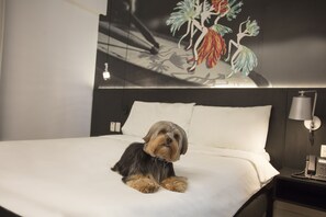 Minibar, coffres-forts dans les chambres, décoration personnalisée