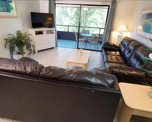 Flat-screen TV