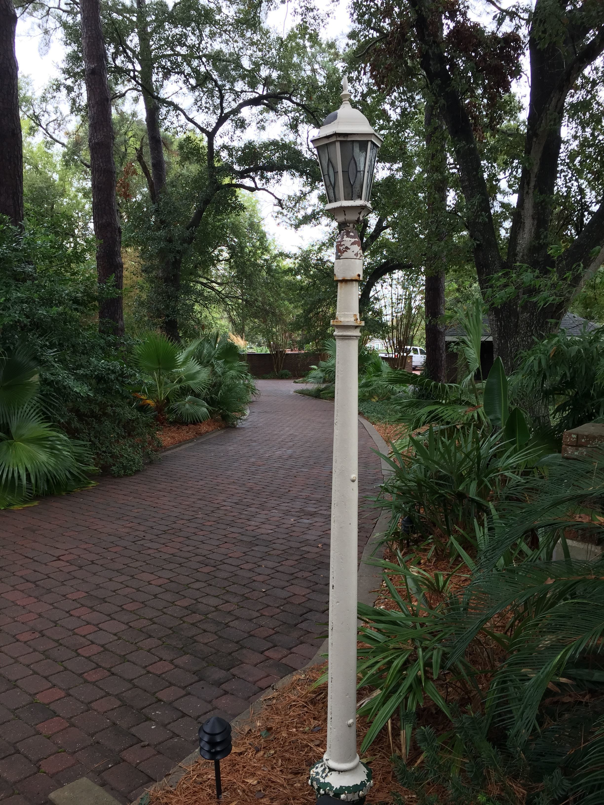 Un sendero pavimentado en un jardín exuberante, con un farol blanco y un objeto negro pequeño en el suelo.