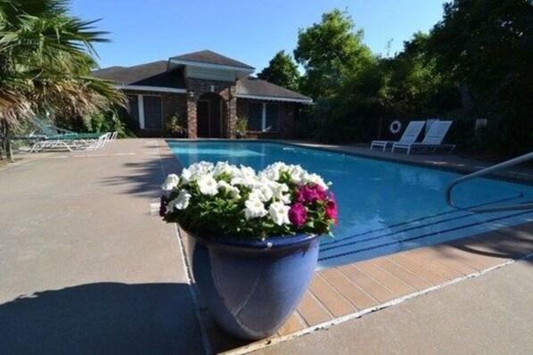 Outdoor pool, sun loungers