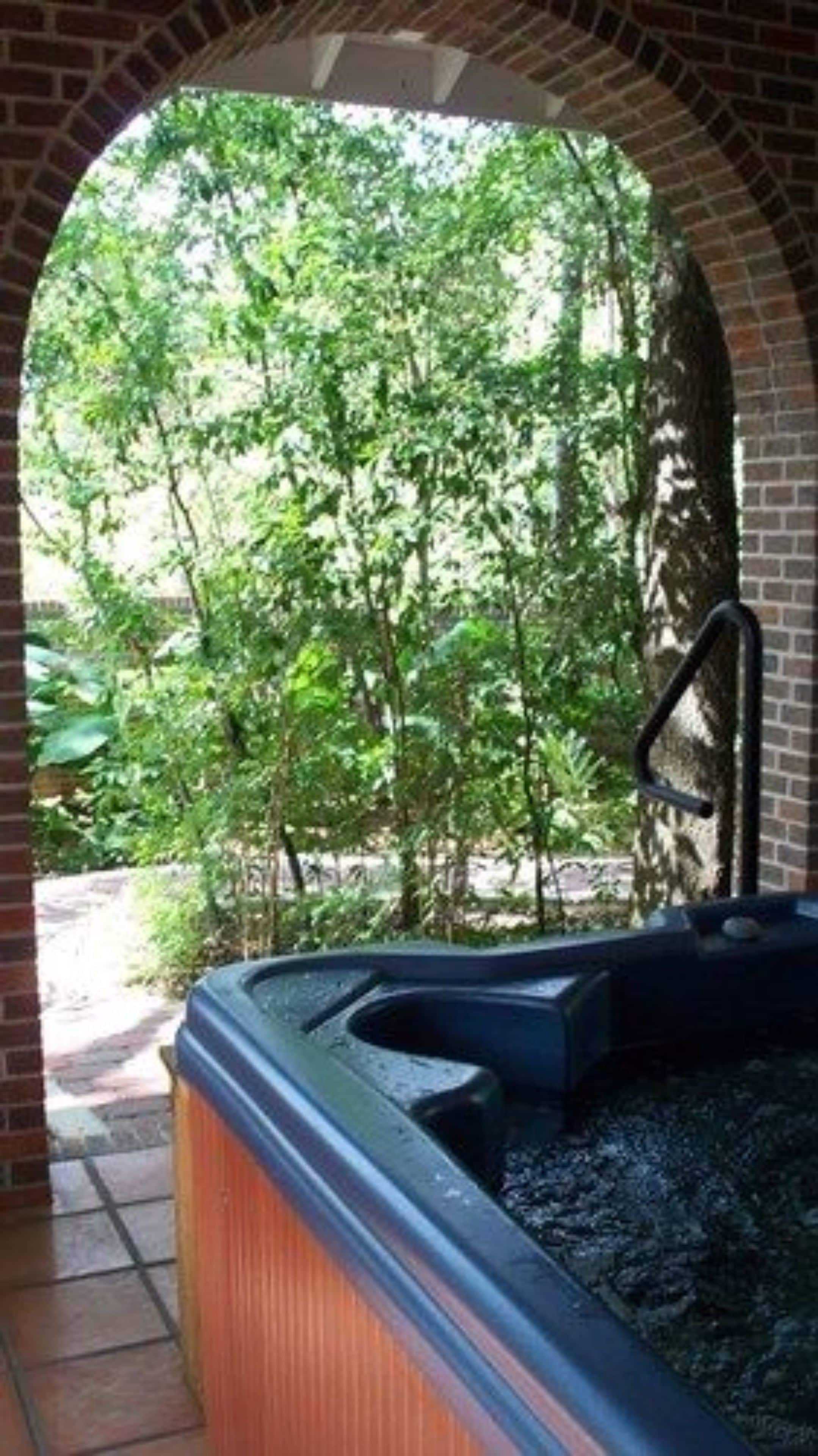 Une vue à travers une porte en arc donnant sur un jardin luxuriant, avec un jacuzzi.