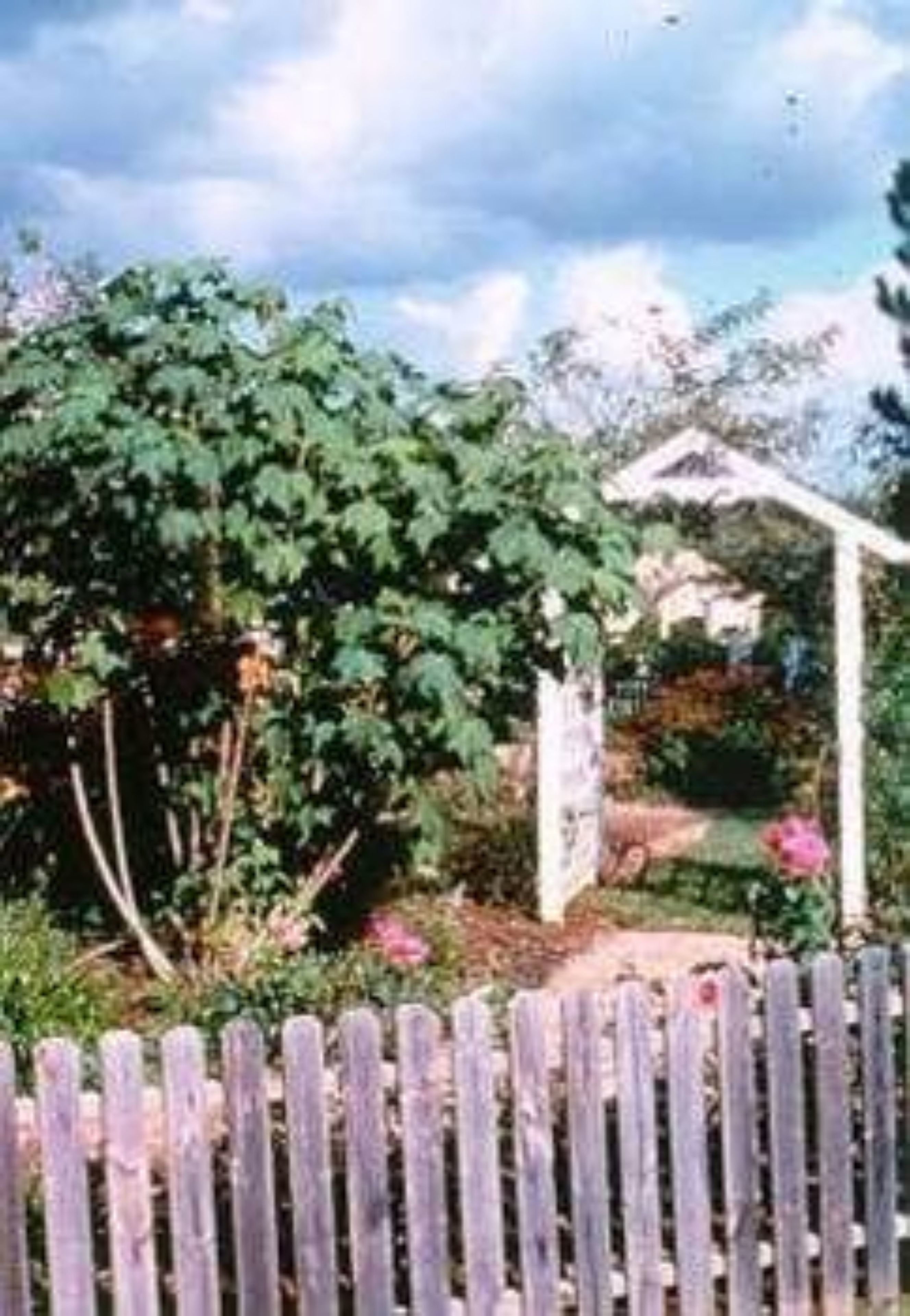 Un jardín con cerca de madera, pérgola y abundante vegetación.