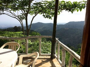 Family Cabin, 2 Bedrooms, Balcony, Mountain View | Terrace/patio