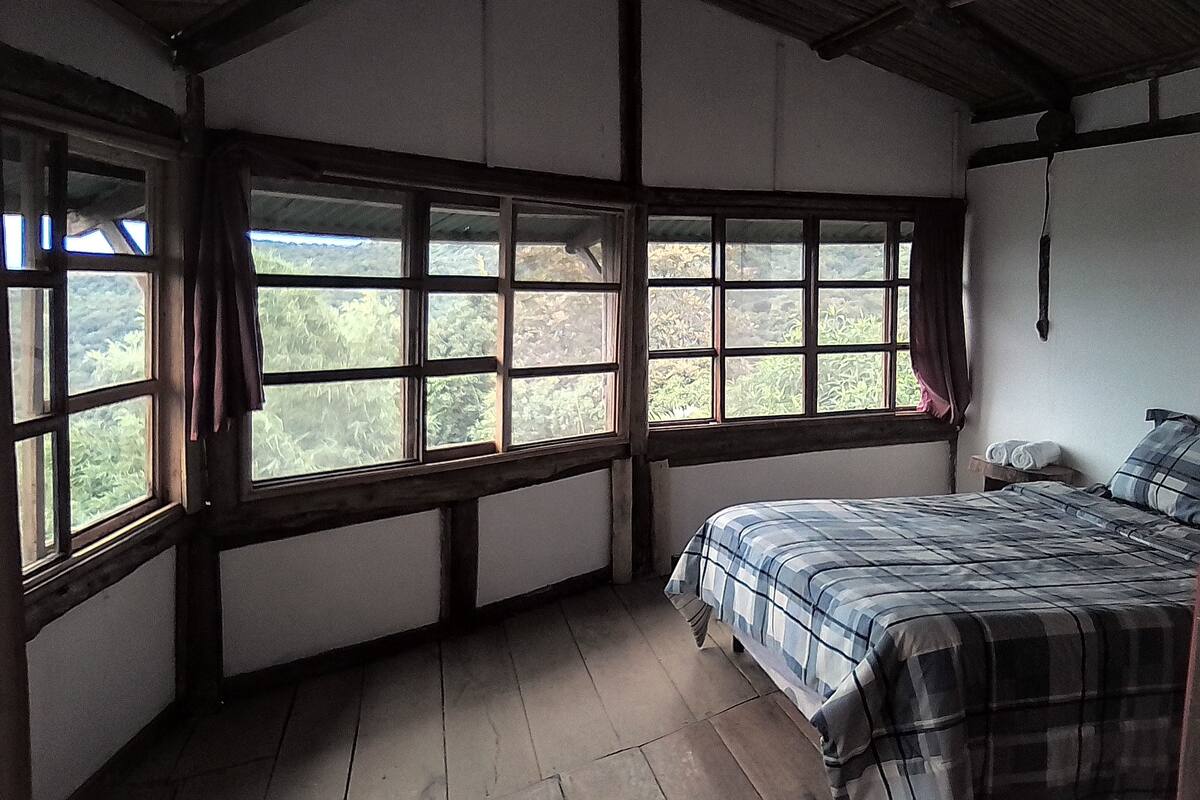 Panoramic Single Room, 1 Queen Bed, Mountain View | Iron/ironing board, rollaway beds