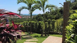 Un jardí amb palmeres, un camí de pedra i una vista d'una població a la distància.