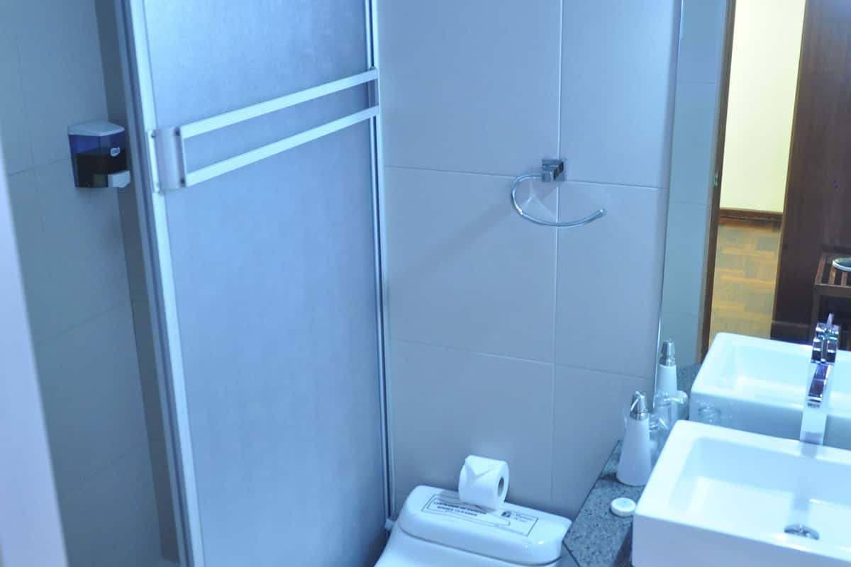 single room | bathroom | shower, free toiletries, hair dryer, towels
