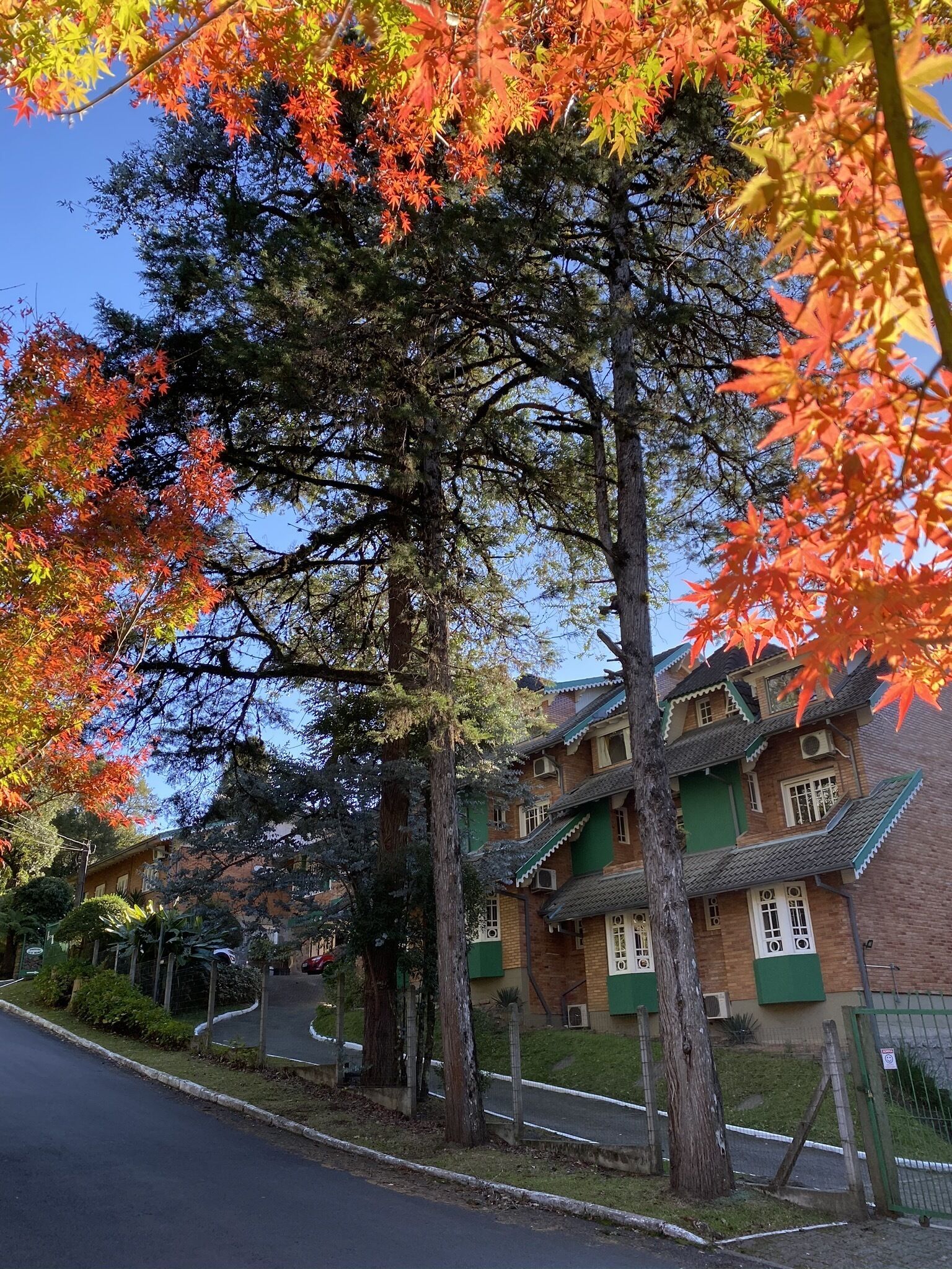 Foto - Hotel Pousada Ald' Mama