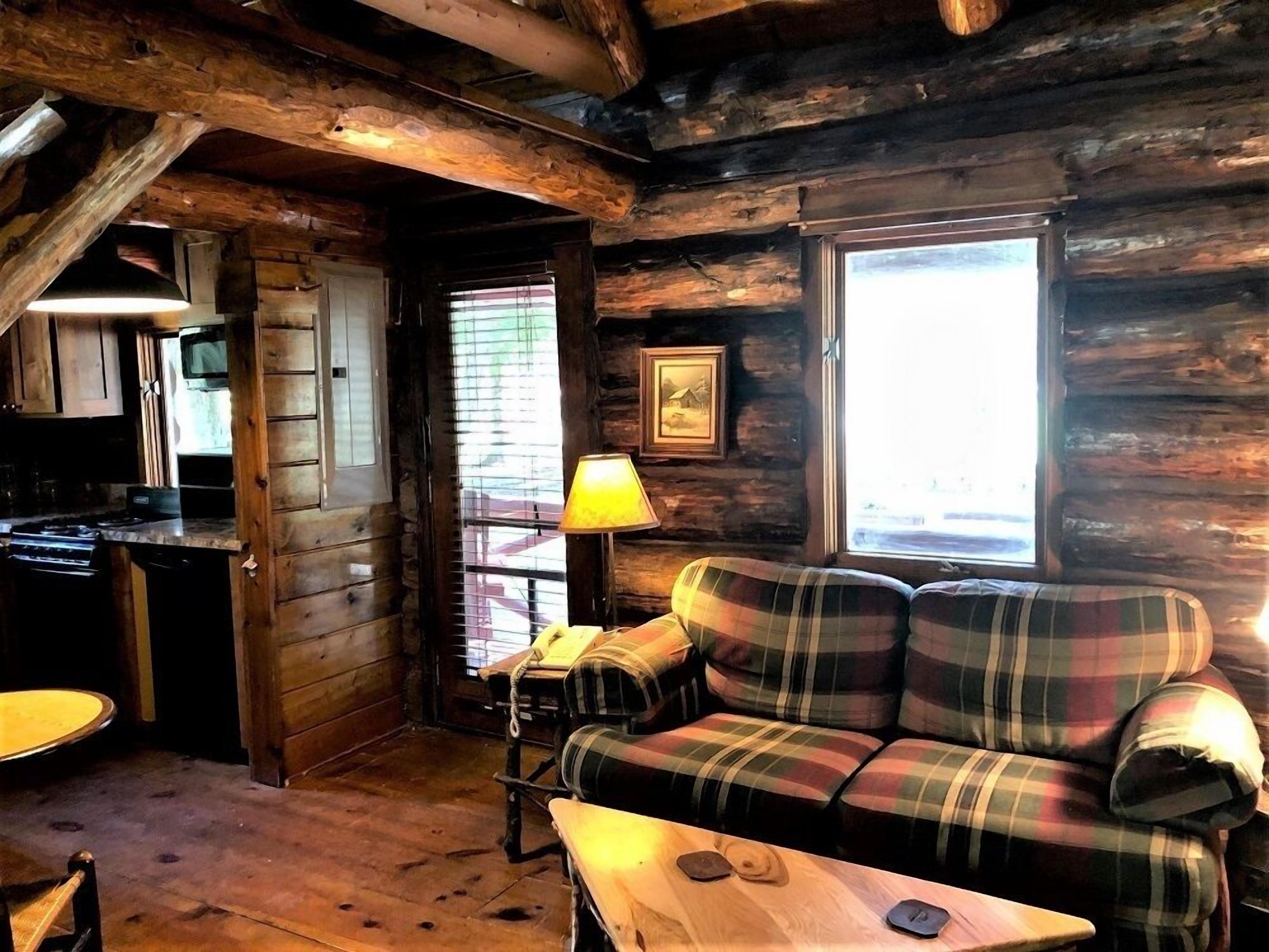 cabin, 1 bedroom, fireplace | living area | 32-inch flat-screen tv with cable channels