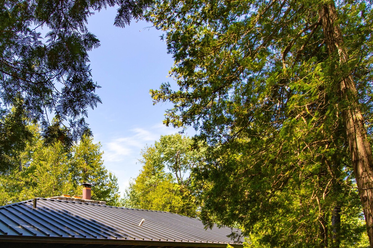 Ferienhütte, 2 Schlafzimmer, Kamin, Buchtblick