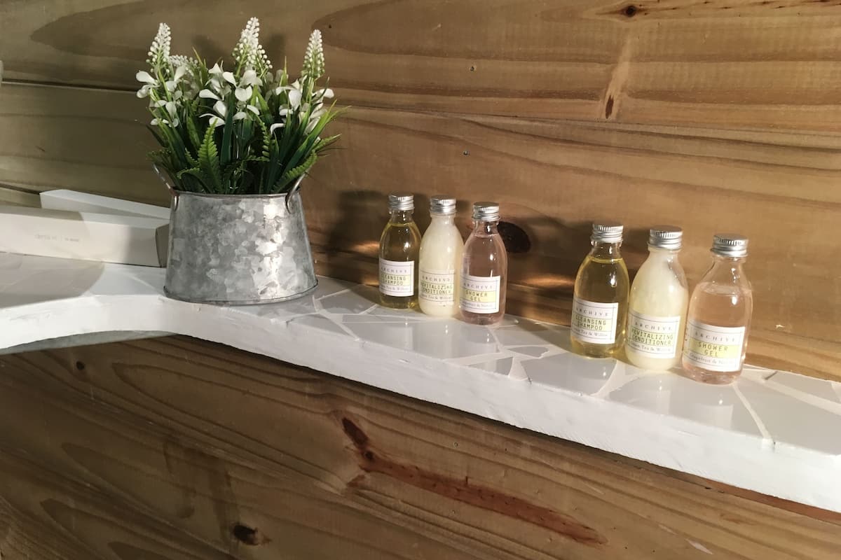 free toiletries, hair dryer, towels, shampoo